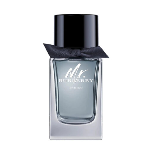 Mr. Burberry indigo Eau De Toilette 100ml