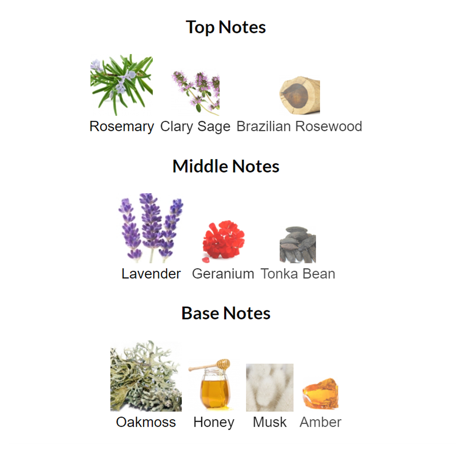 Paco Rabanne Pour Homme EDT For Men-3