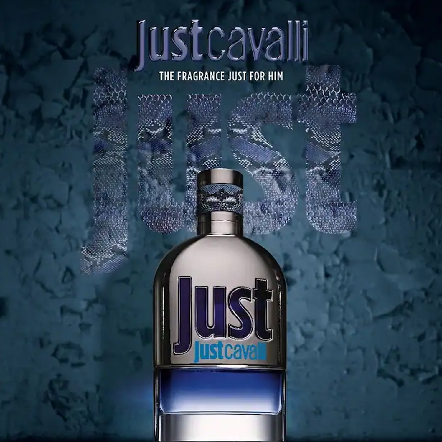 Roberto Cavalli Just Cavalli Him EDT For Men-2