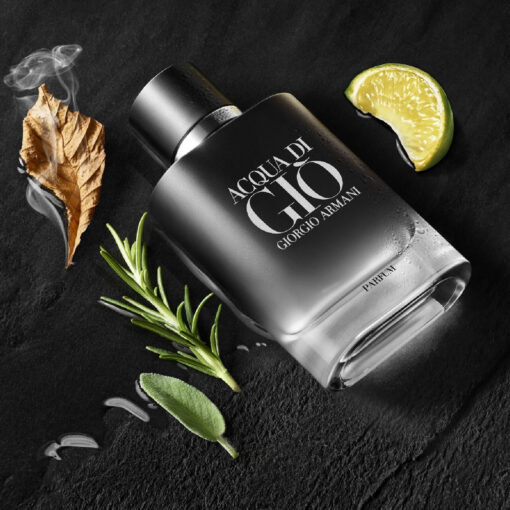 Giorgio Armani Acqua Di Gio Parfum 1