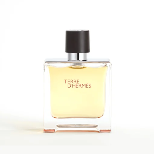 Hermes Terre DHermes Men Parfum 75ML